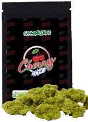 Cannbuben Abbild